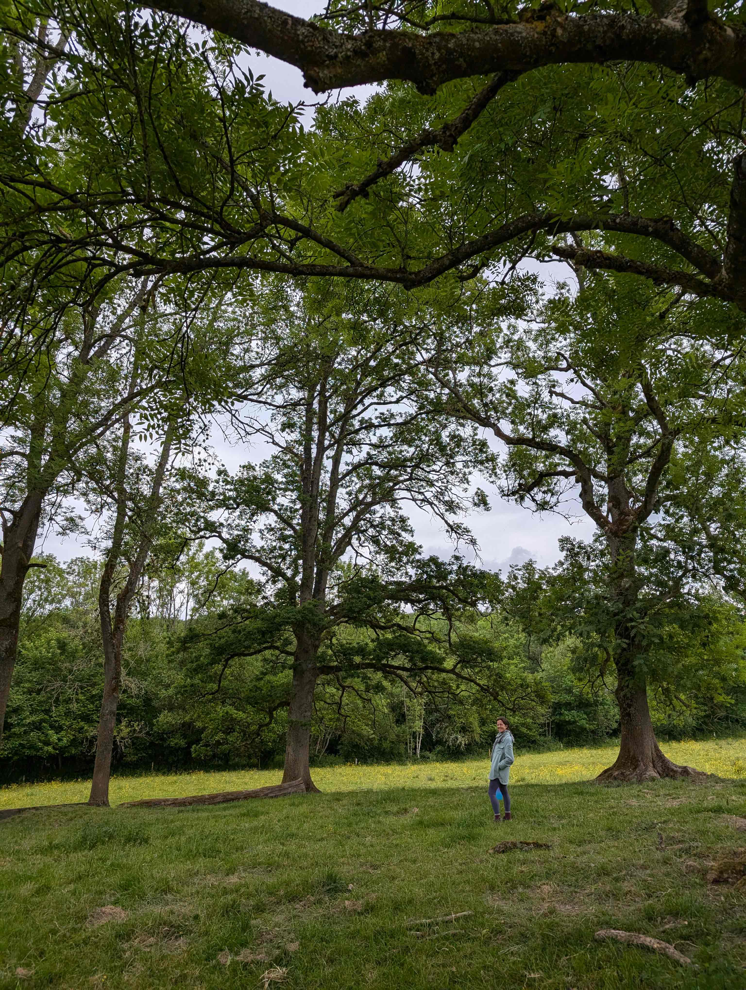 Personne se baladant dans la nature verdoyante